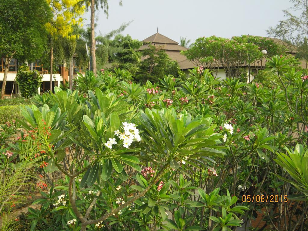 Aye Yar River View Resort Баган Экстерьер фото